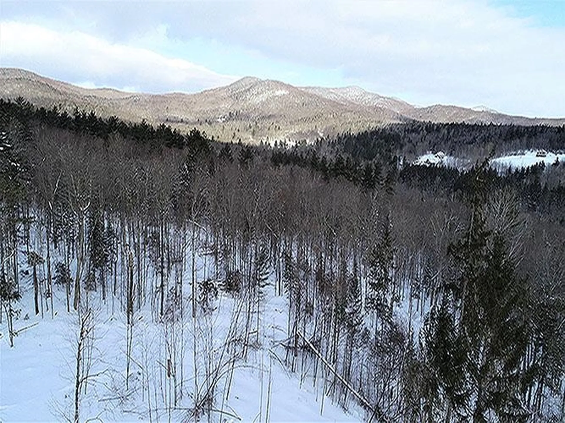 0 Warren Mountain Road Roxbury VT 05669