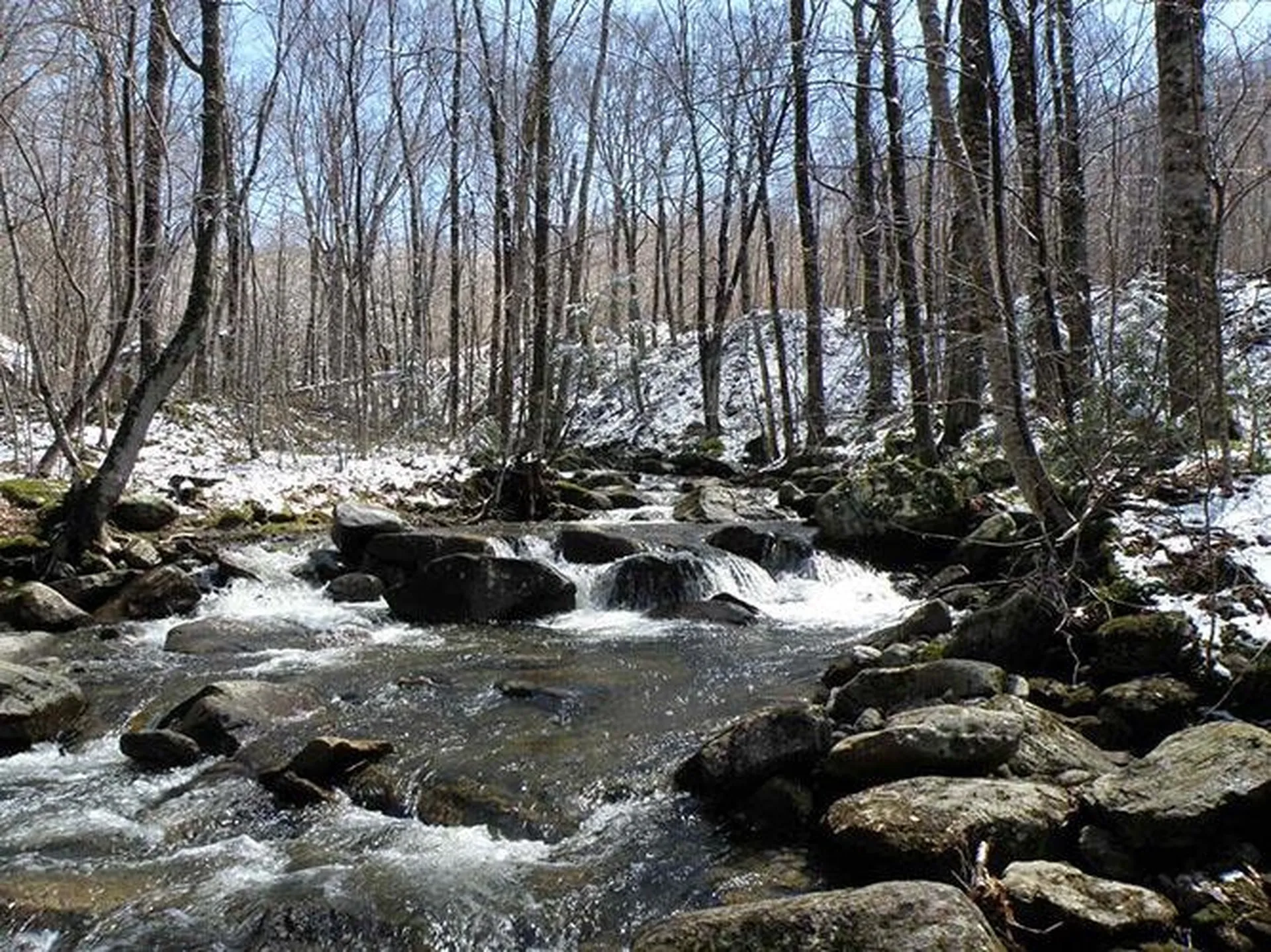 0 Warren Mountain Road Roxbury VT 05669