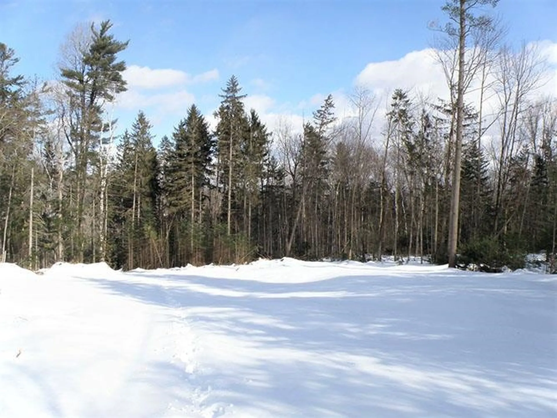 0 Warren Mountain Road Roxbury VT 05669