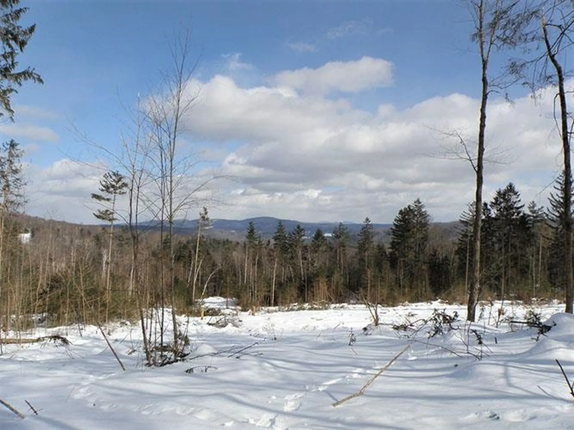 0 Warren Mountain Road Roxbury VT 05669