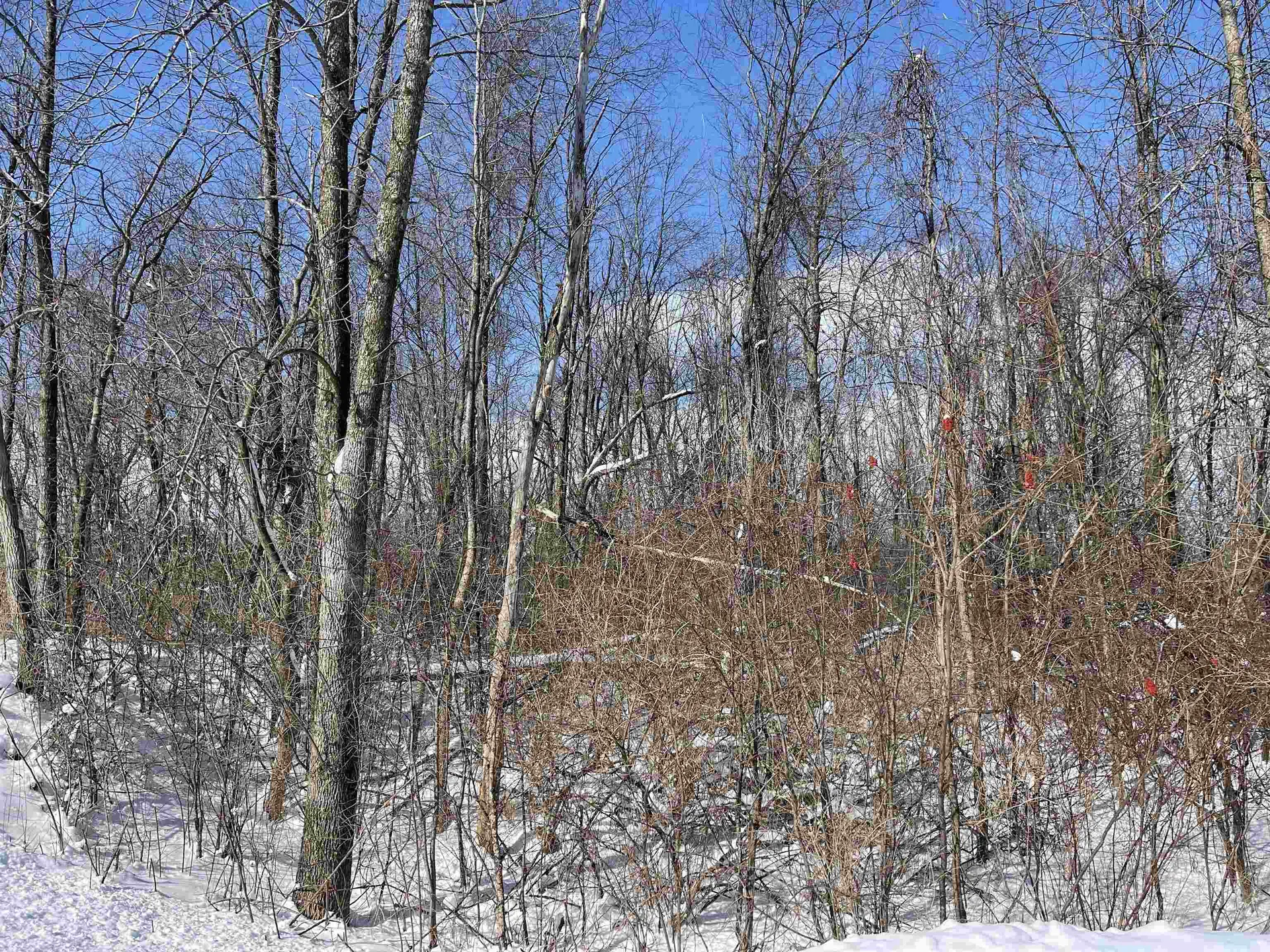 112 Route 2 Grand Isle VT 05458