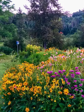1368 Macdonald Road Washington VT 05675