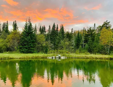 1368 Macdonald Road Washington VT 05675