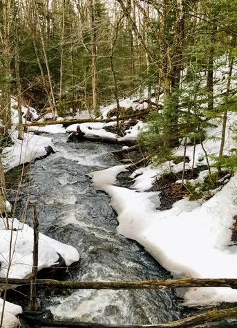 1368 Macdonald Road Washington VT 05675