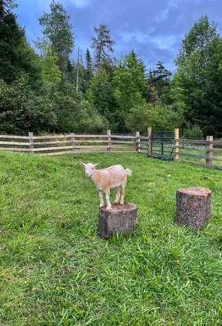1368 Macdonald Road Washington VT 05675