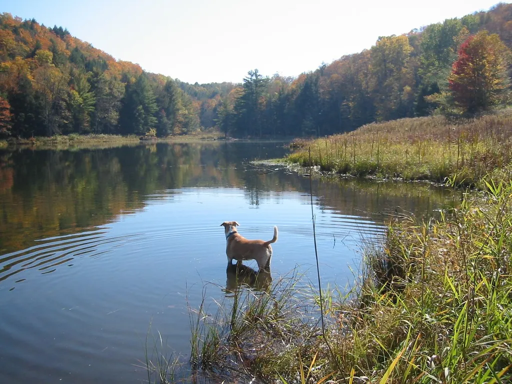 927 Kenyon Hill Road Sharon VT 05065