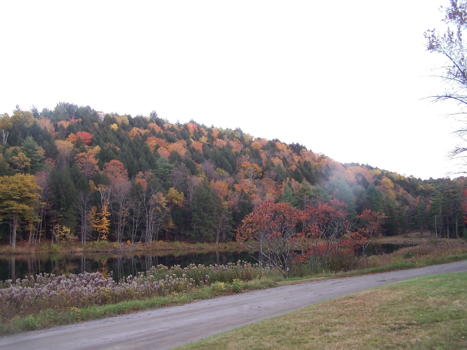 927 Kenyon Hill Road Sharon VT 05065