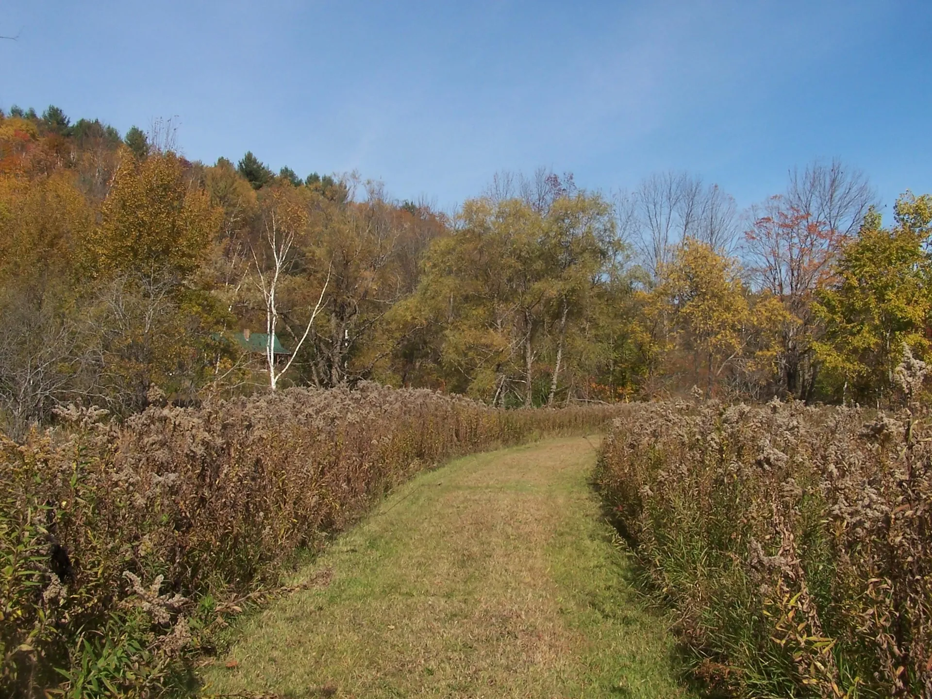 927 Kenyon Hill Road Sharon VT 05065