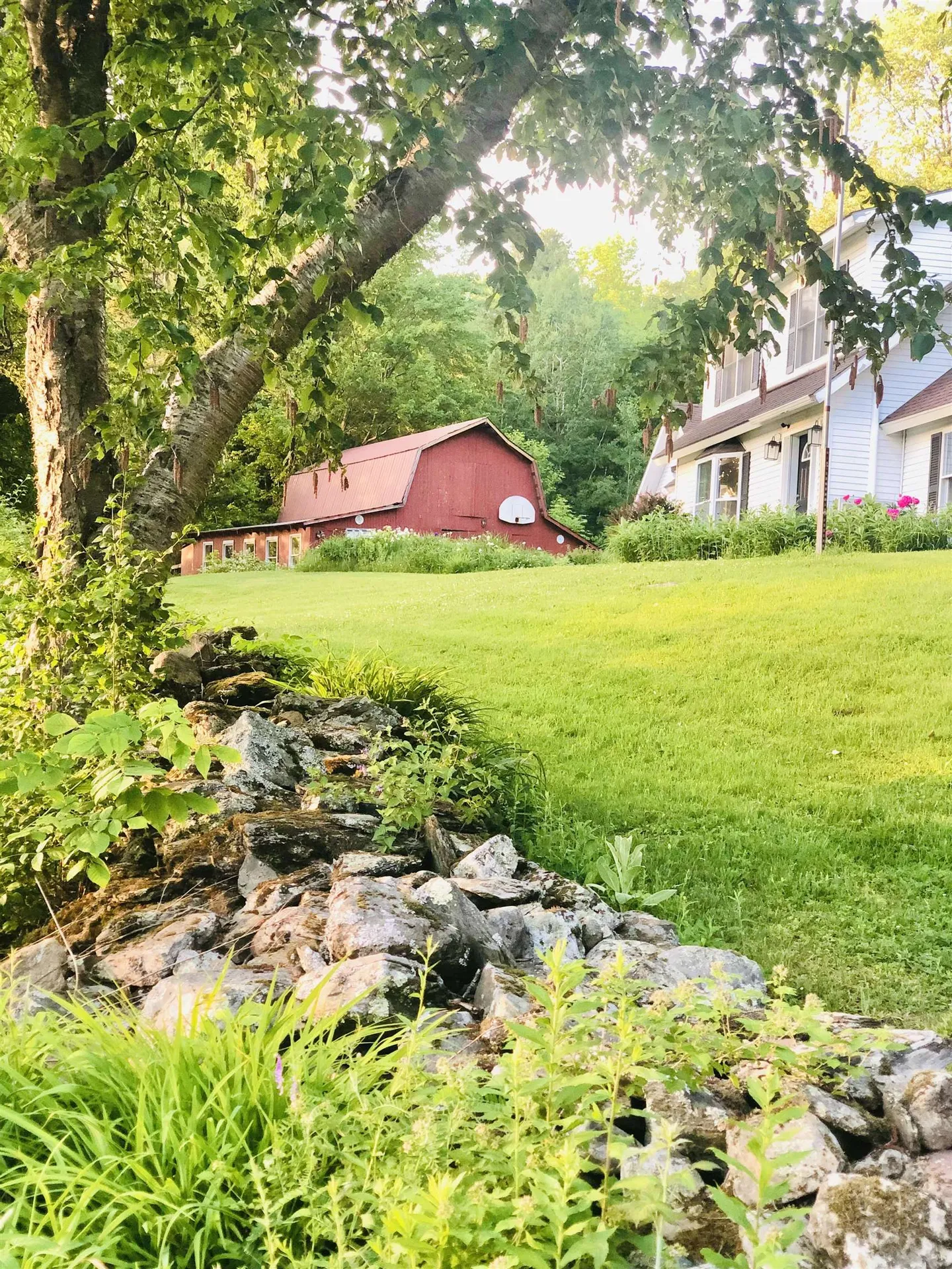 51 Mountain Road Westford VT 05494