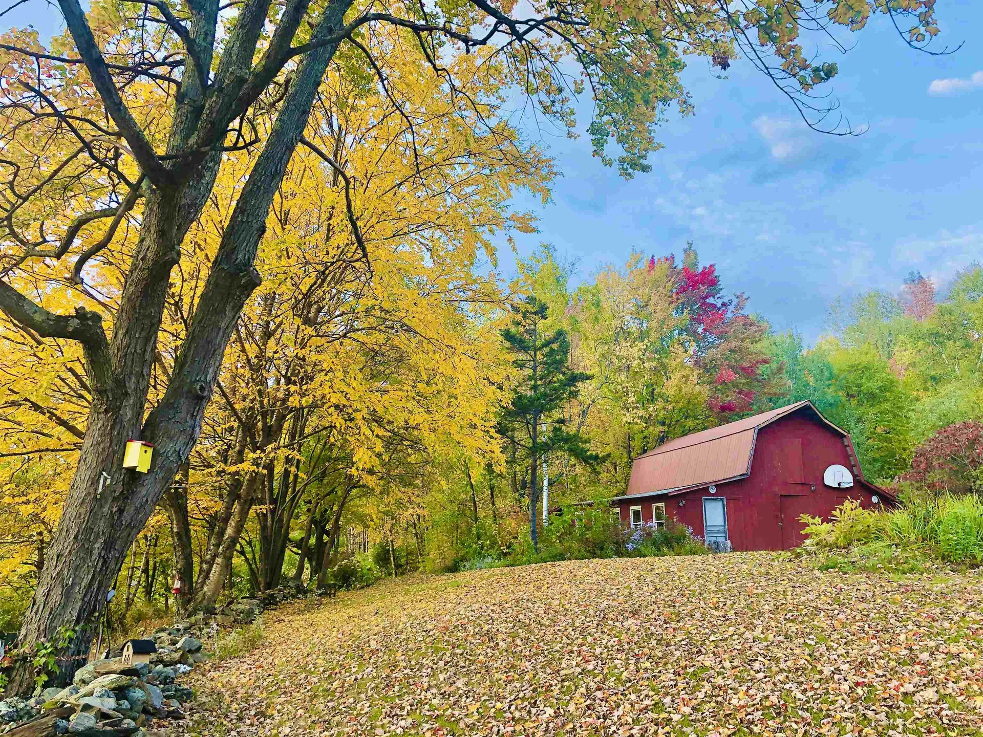 51 Mountain Road Westford VT 05494