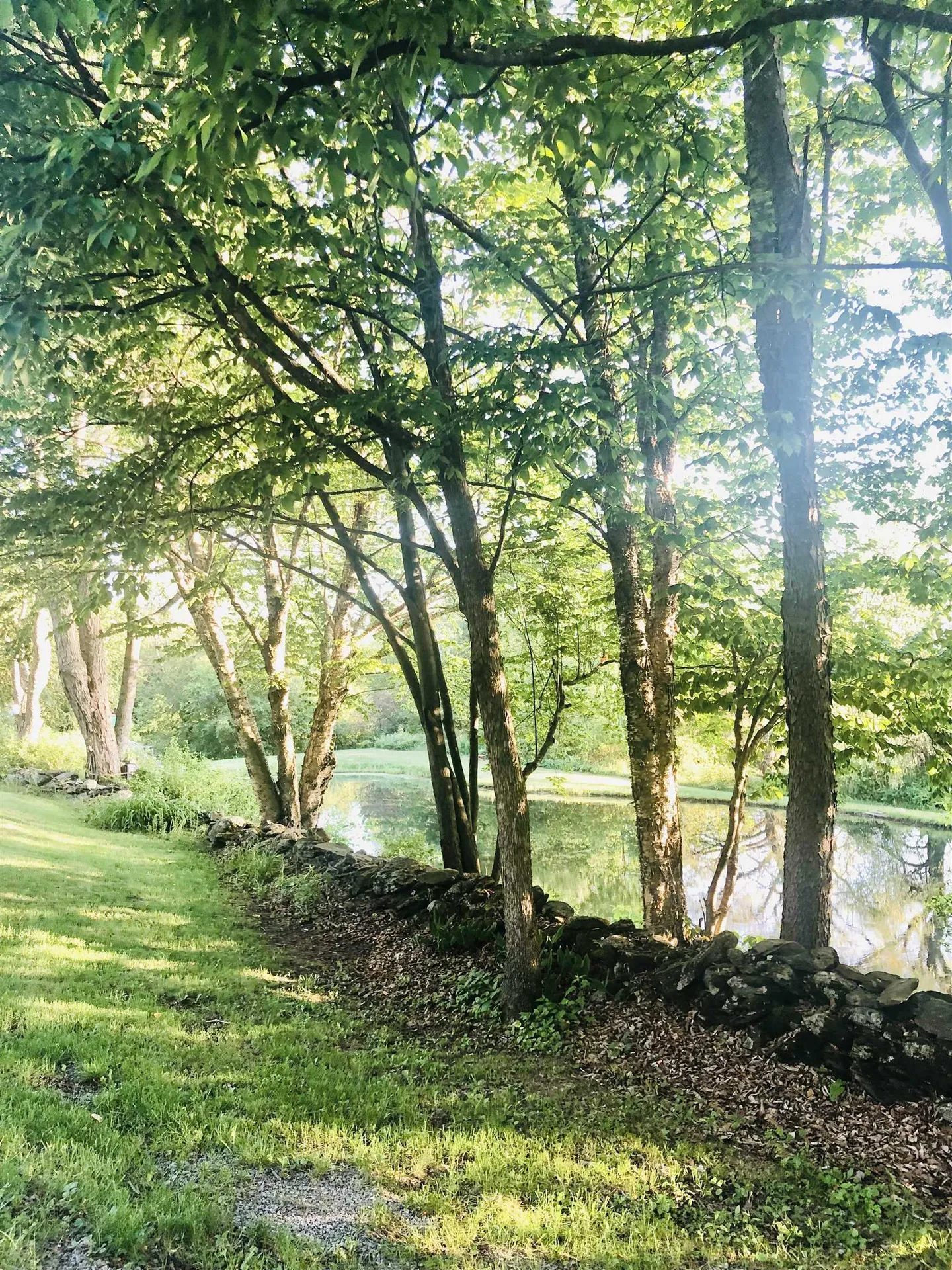 51 Mountain Road Westford VT 05494