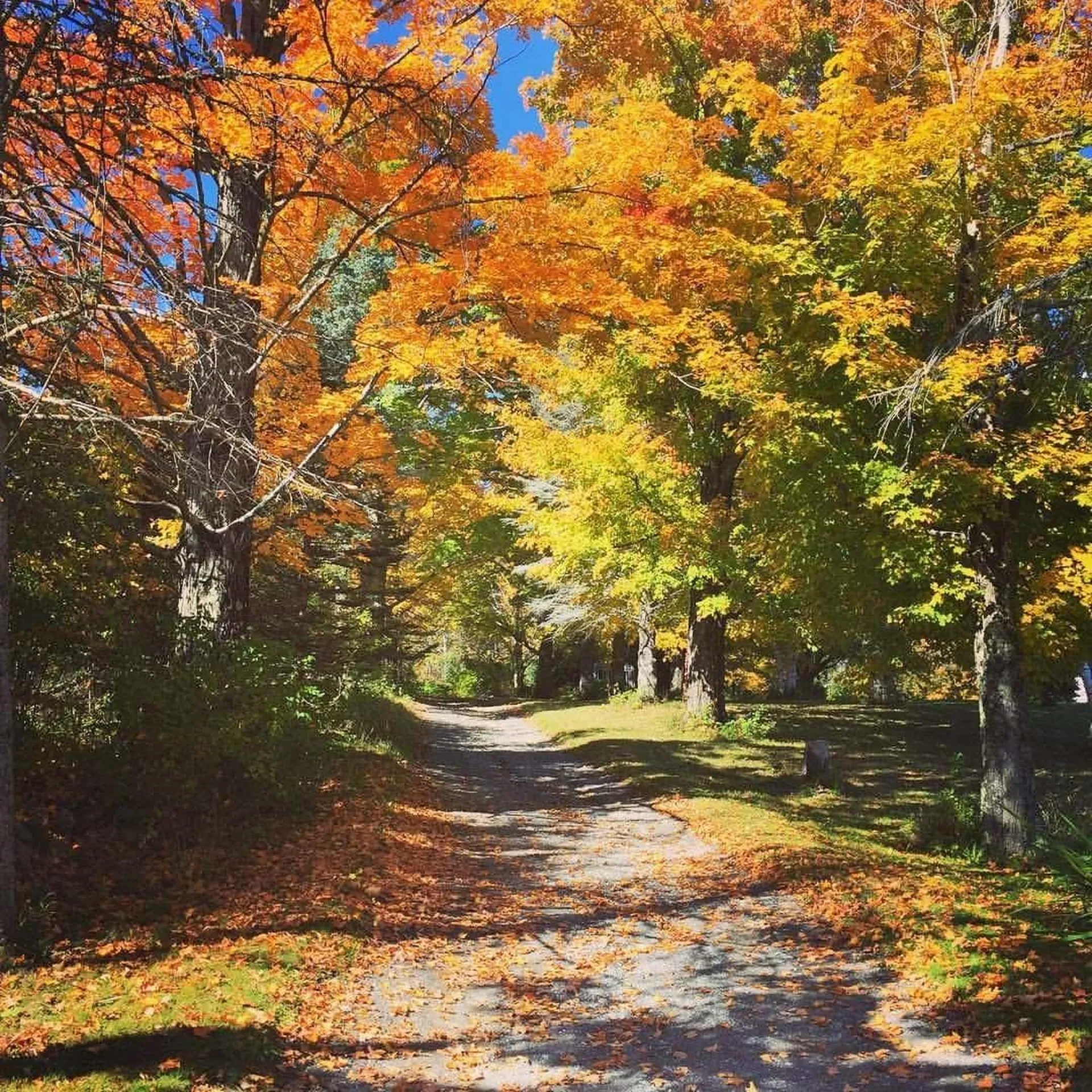 1054 Eureka Road Springfield VT 05156