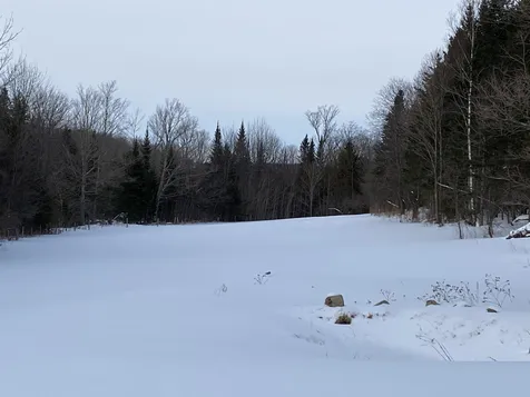 2080 Dexter Mountain Road Glover VT 05839-0583