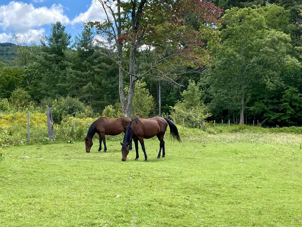 735 Washington Road Goshen NH 03752
