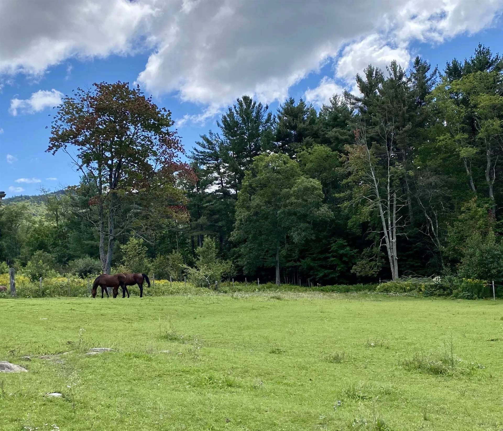 735 Washington Road Goshen NH 03752