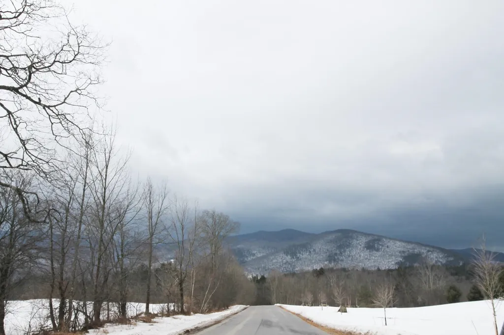 141 Forest Lane Rochester VT 05767