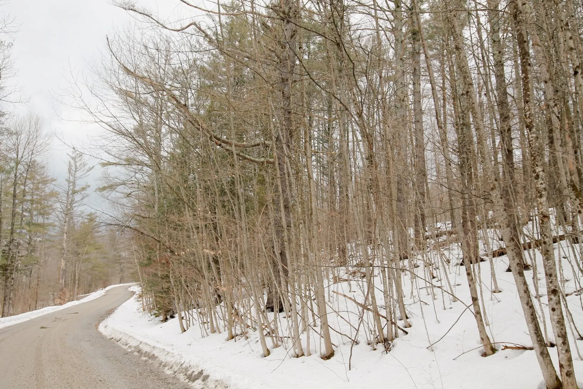 141 Forest Lane Rochester VT 05767
