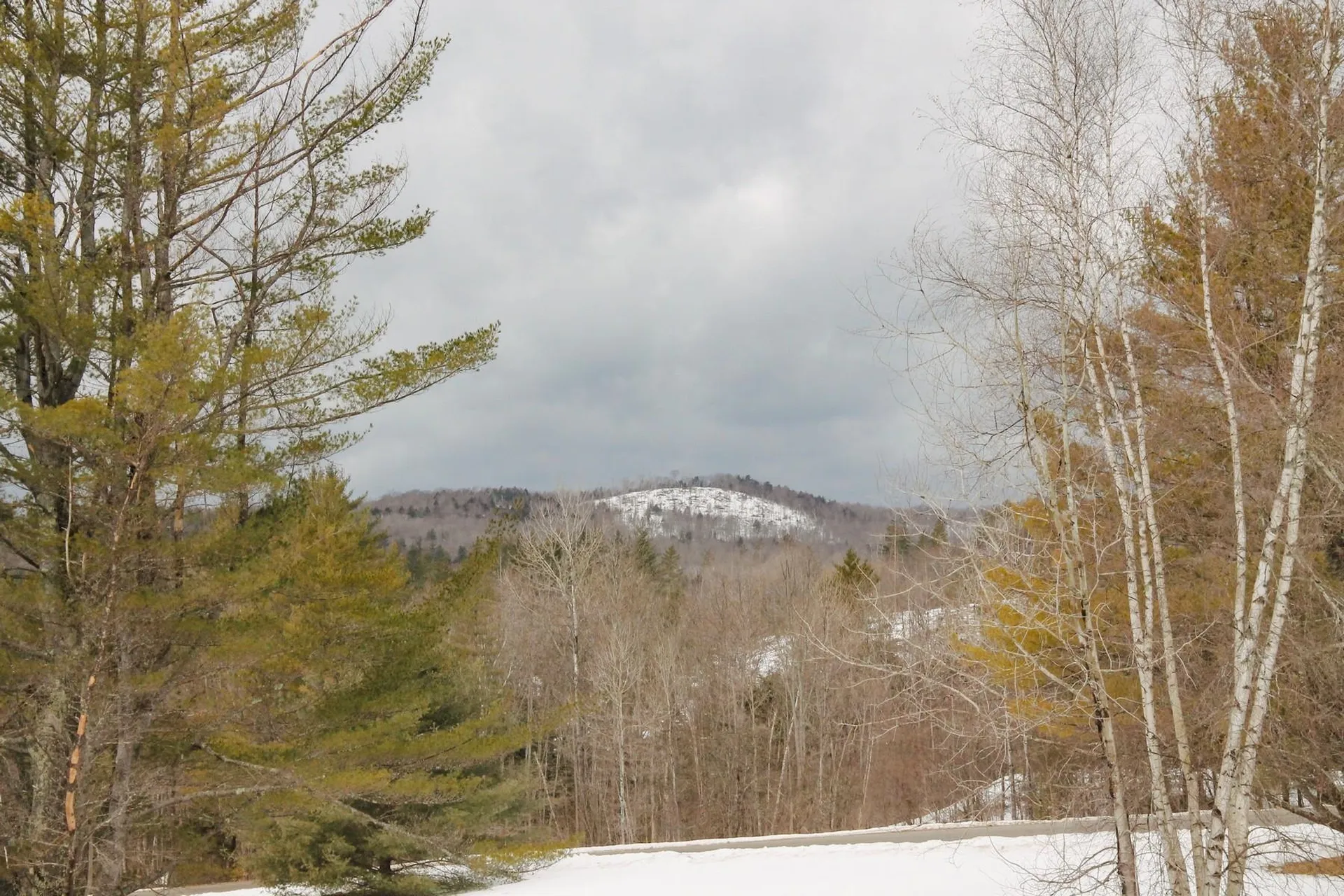 141 Forest Lane Rochester VT 05767