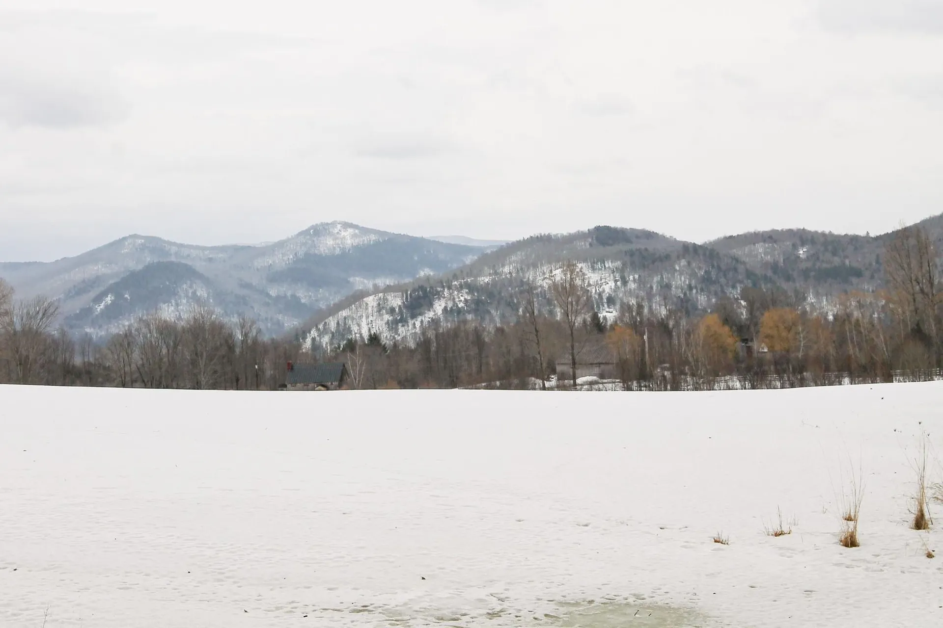 141 Forest Lane Rochester VT 05767