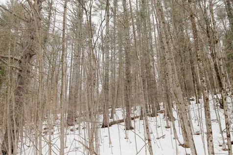 141 Forest Lane Rochester VT 05767