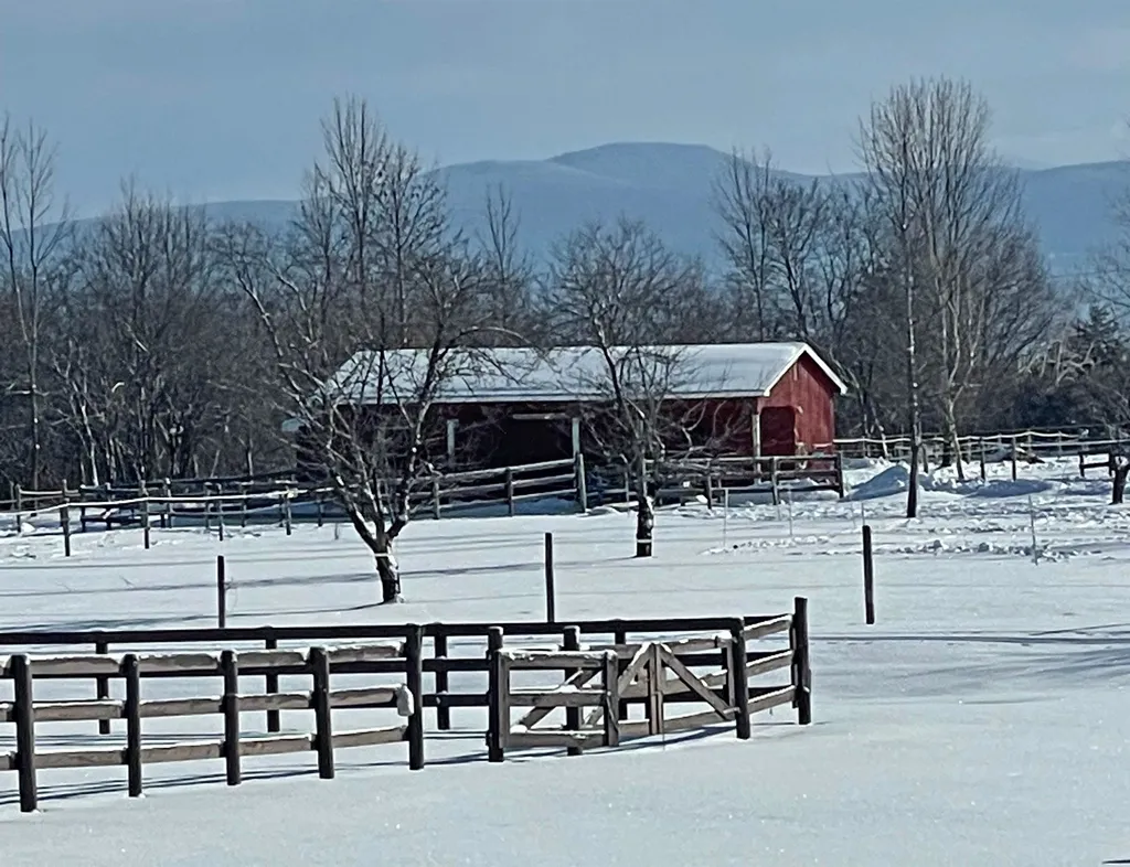 323 North Bingham Street Cornwall VT 05753