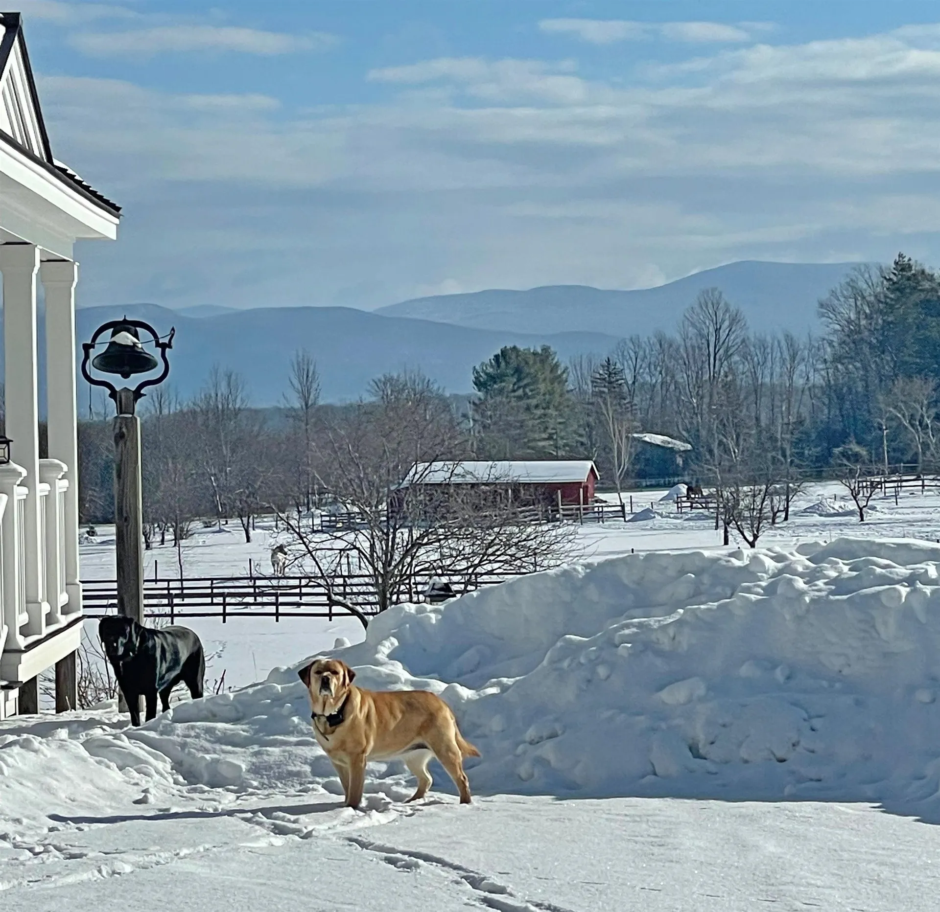 323 North Bingham Street Cornwall VT 05753