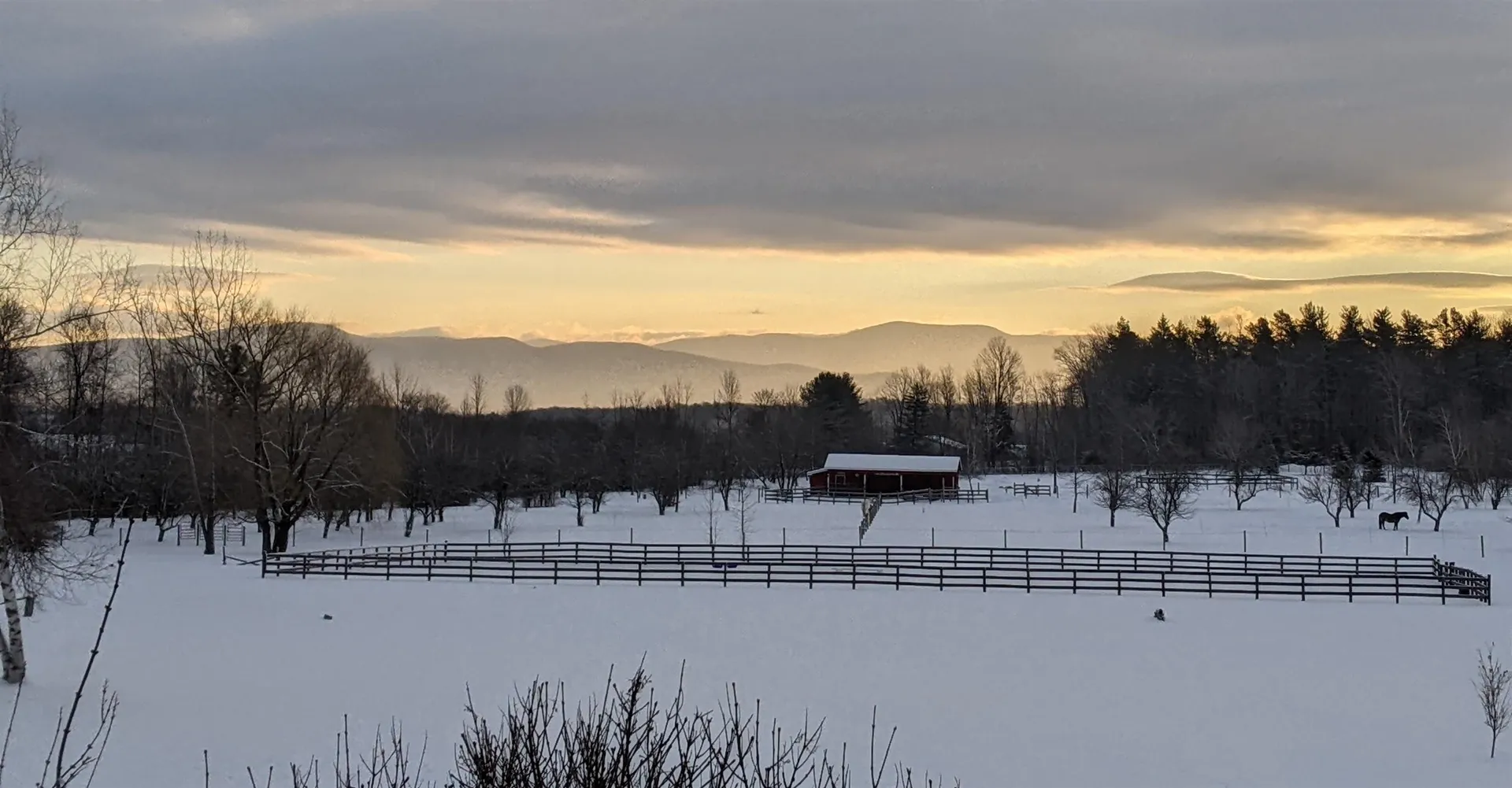 323 North Bingham Street Cornwall VT 05753