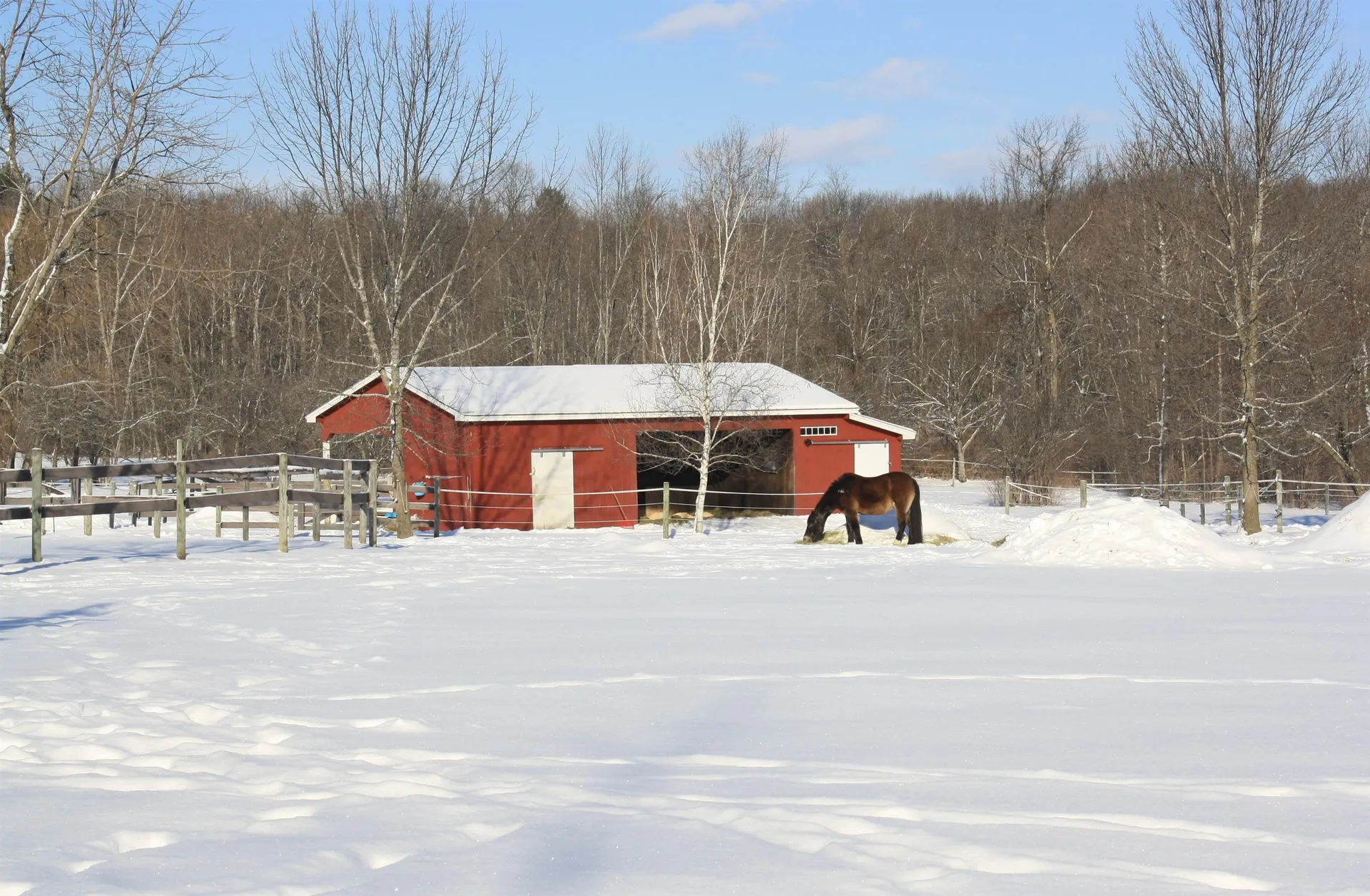 323 North Bingham Street Cornwall VT 05753