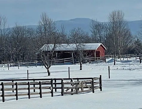 323 North Bingham Street Cornwall VT 05753