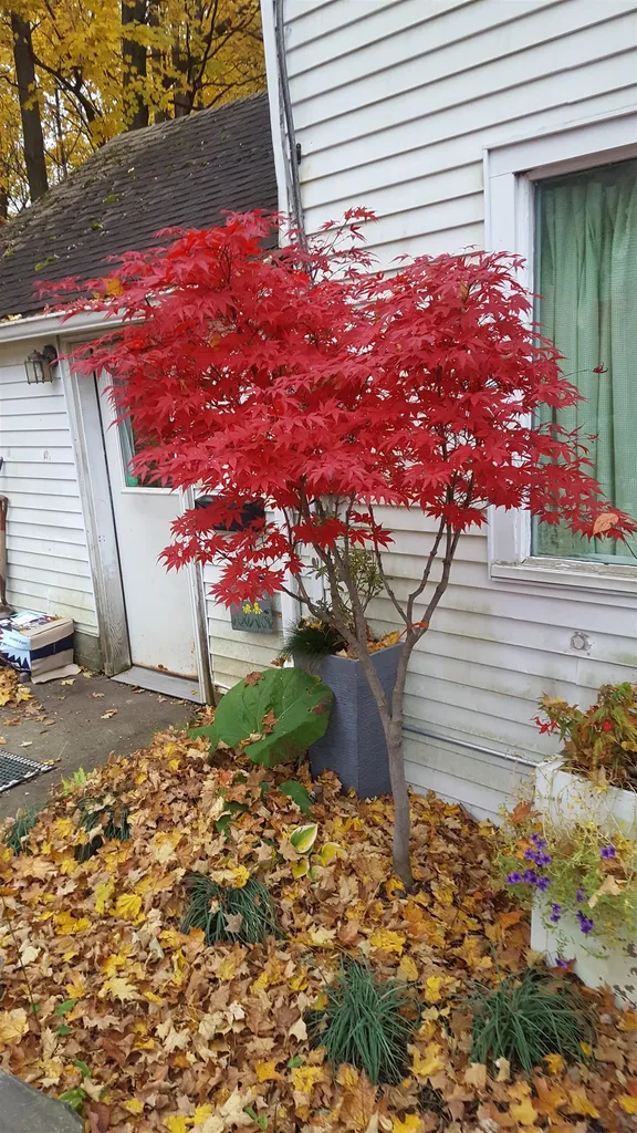 73 N Pleasant Street Middlebury VT 05753