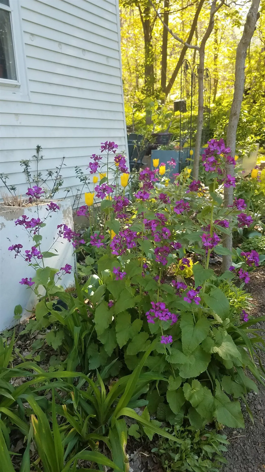 73 N Pleasant Street Middlebury VT 05753