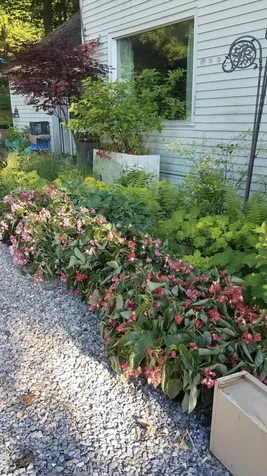 73 N Pleasant Street Middlebury VT 05753