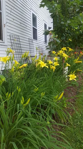 73 N Pleasant Street Middlebury VT 05753
