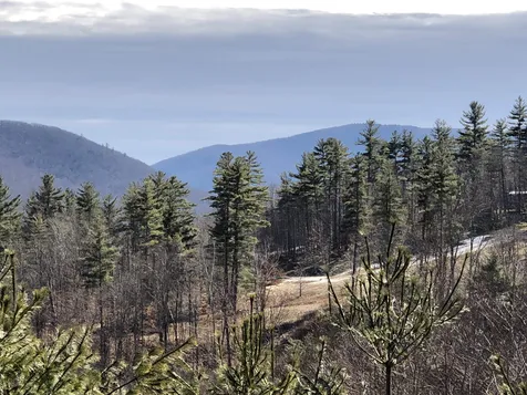 1151 Swearing Hill Road Sandgate VT 05250