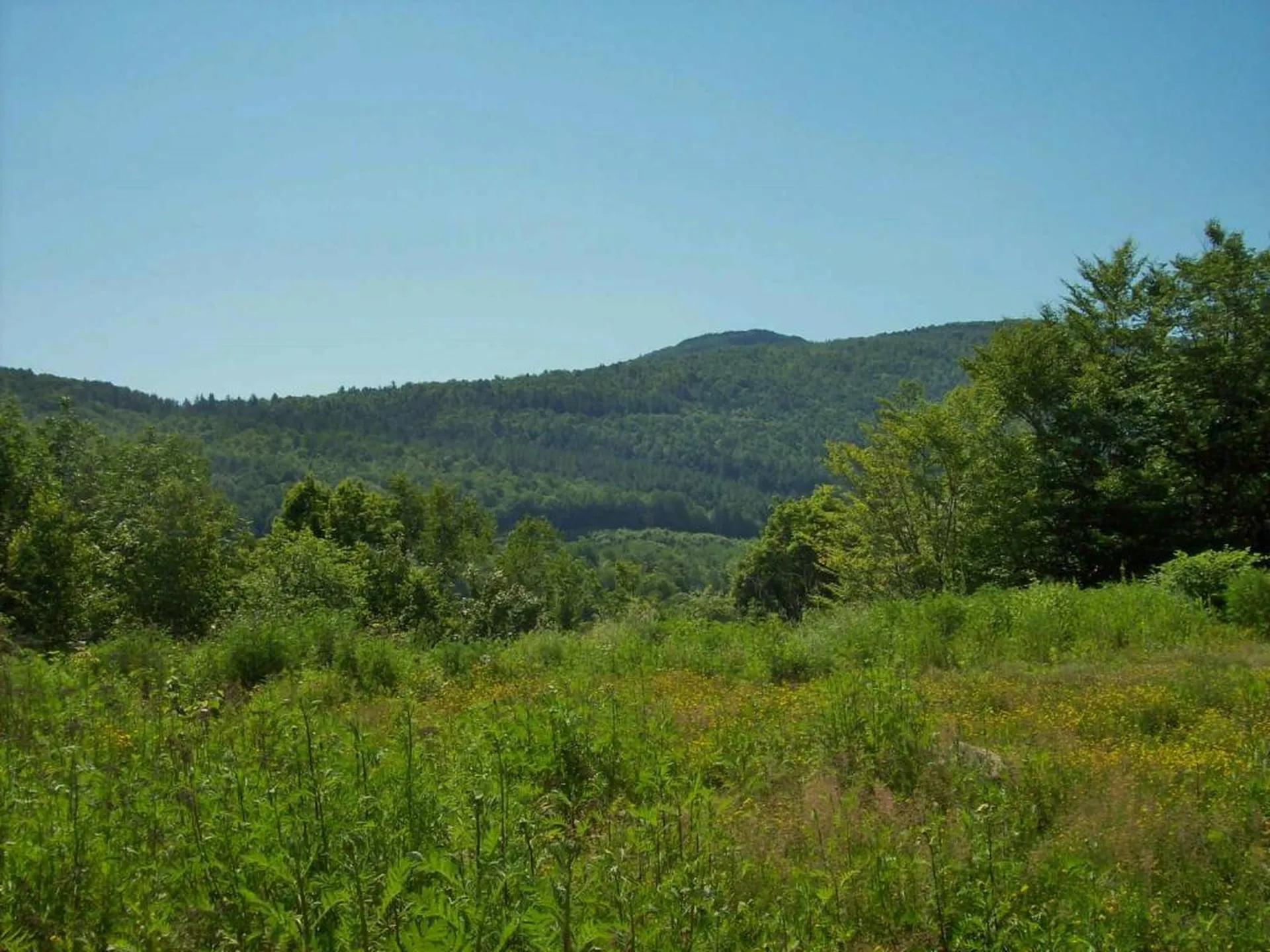 Western Avenue Berlin NH 03570