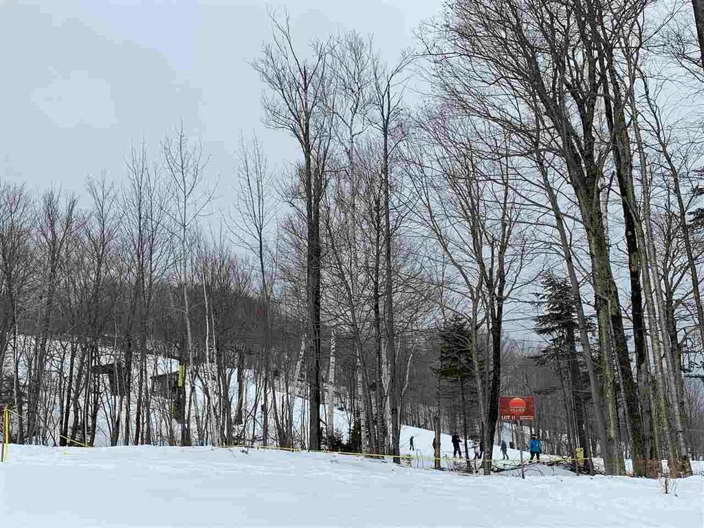 11 Sundance Village Loop Dover, VT