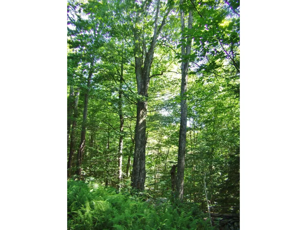00 Hemenway Road Ludlow VT 05149