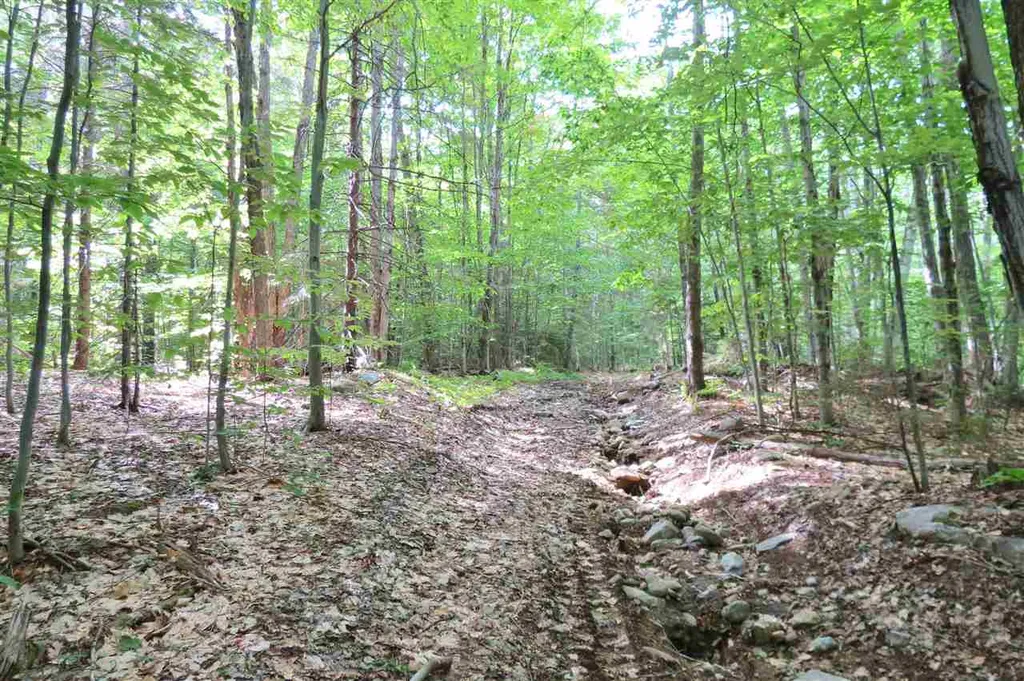 00 Hemenway Road Ludlow VT 05149