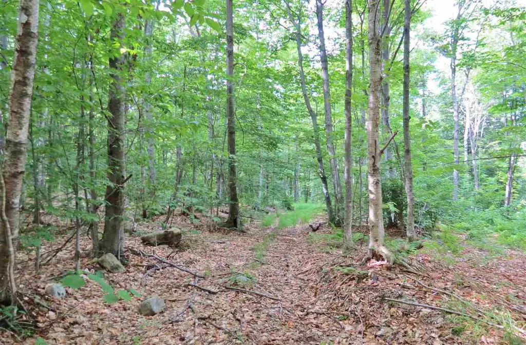 00 Hemenway Road Ludlow VT 05149