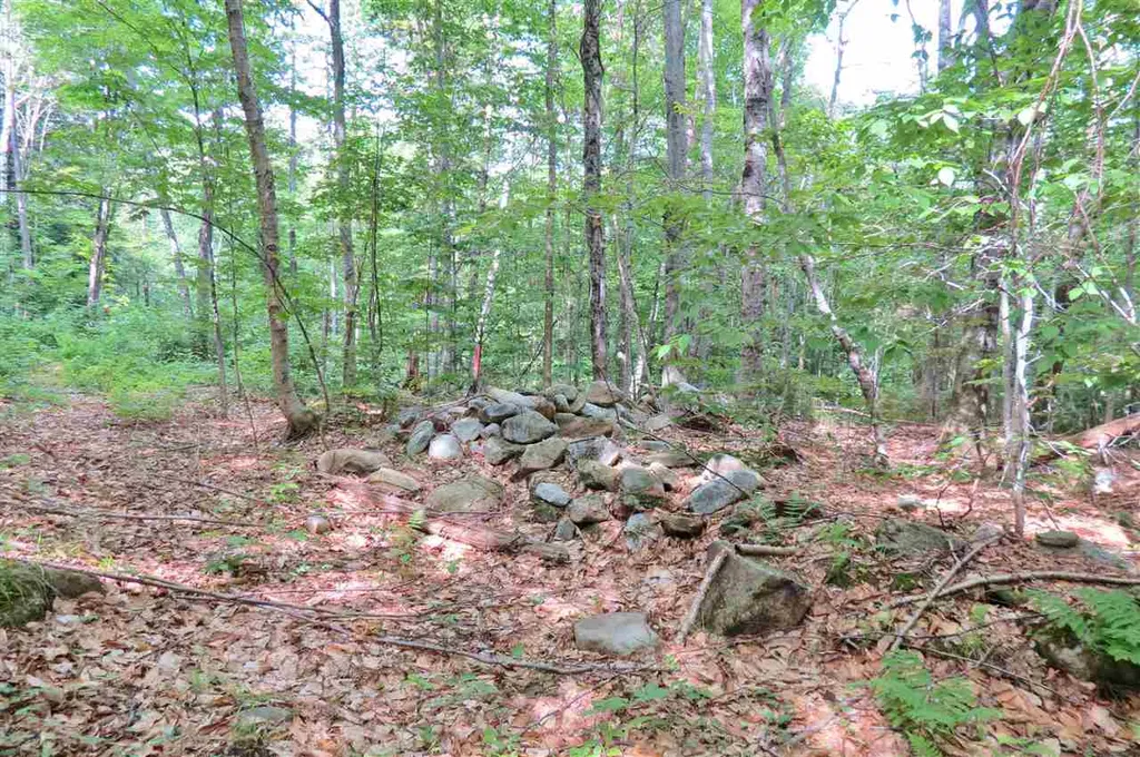 00 Hemenway Road Ludlow VT 05149