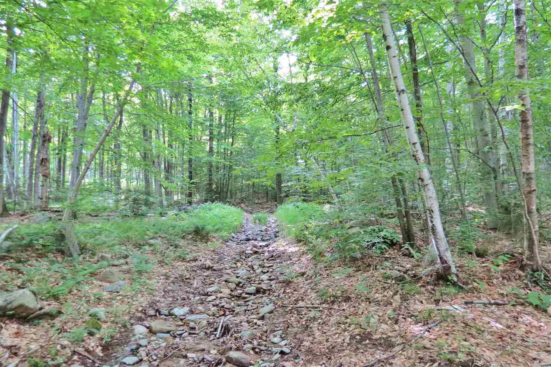 00 Hemenway Road Ludlow VT 05149