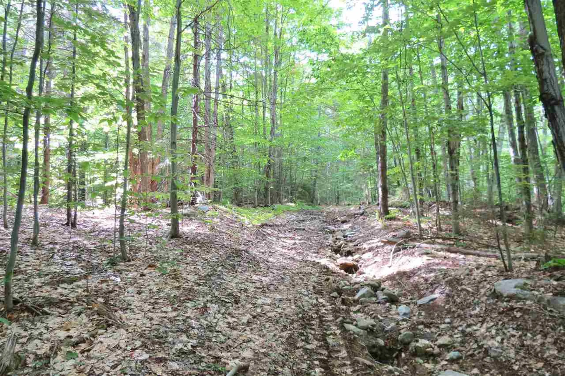 00 Hemenway Road Ludlow VT 05149