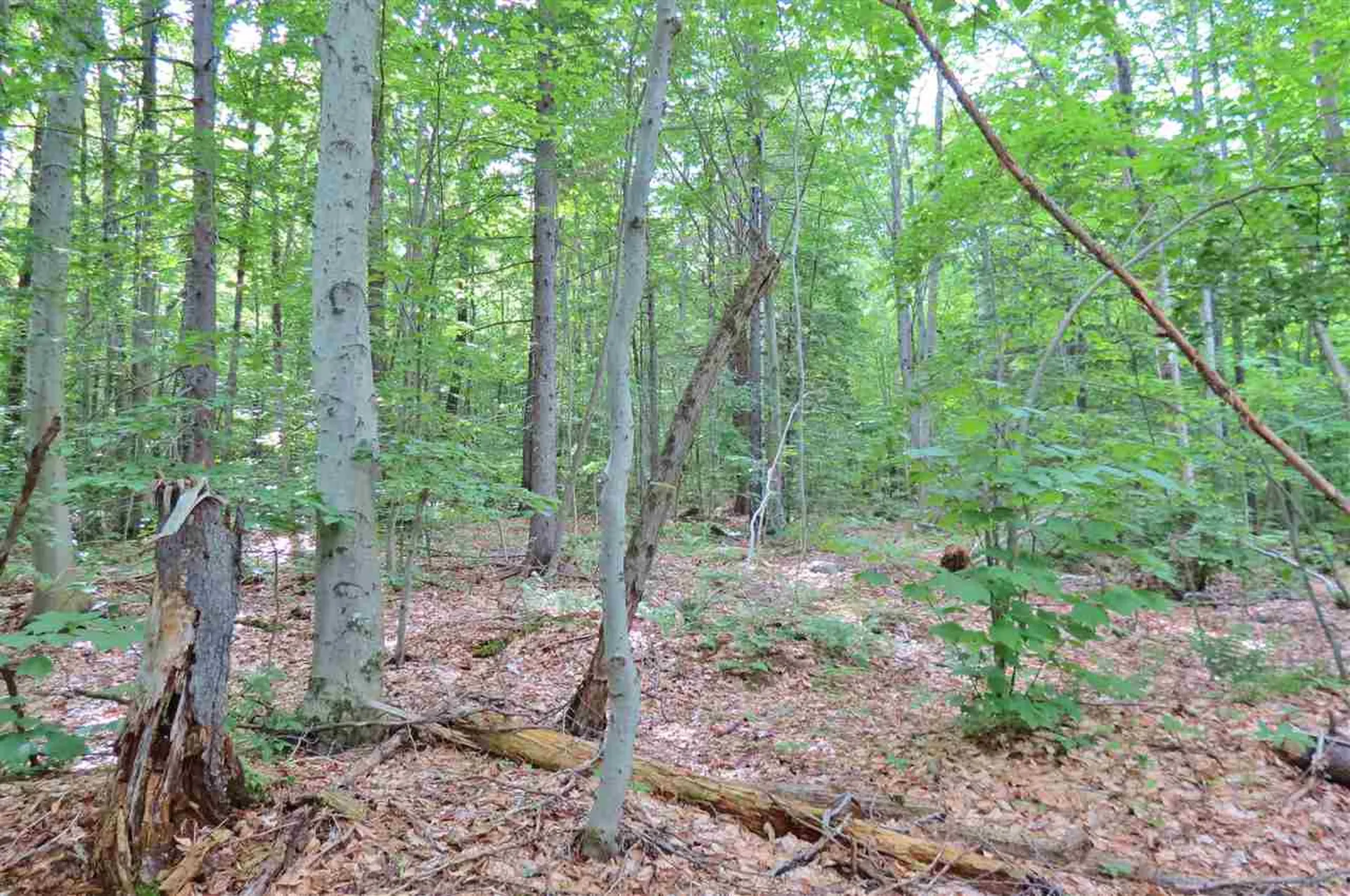 00 Hemenway Road Ludlow VT 05149