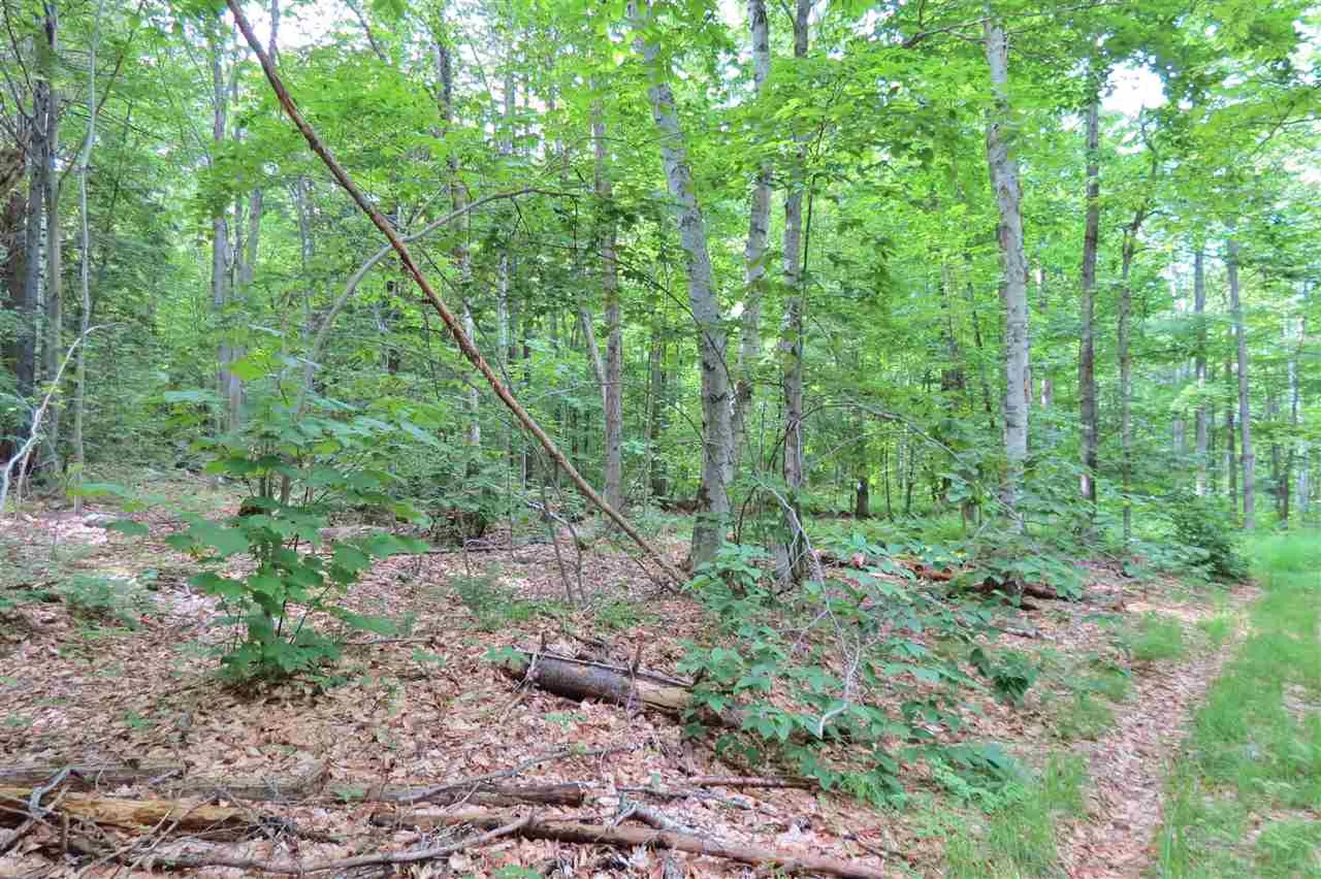 00 Hemenway Road Ludlow VT 05149