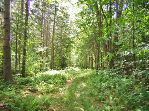 00 Hemenway Road Ludlow VT 05149