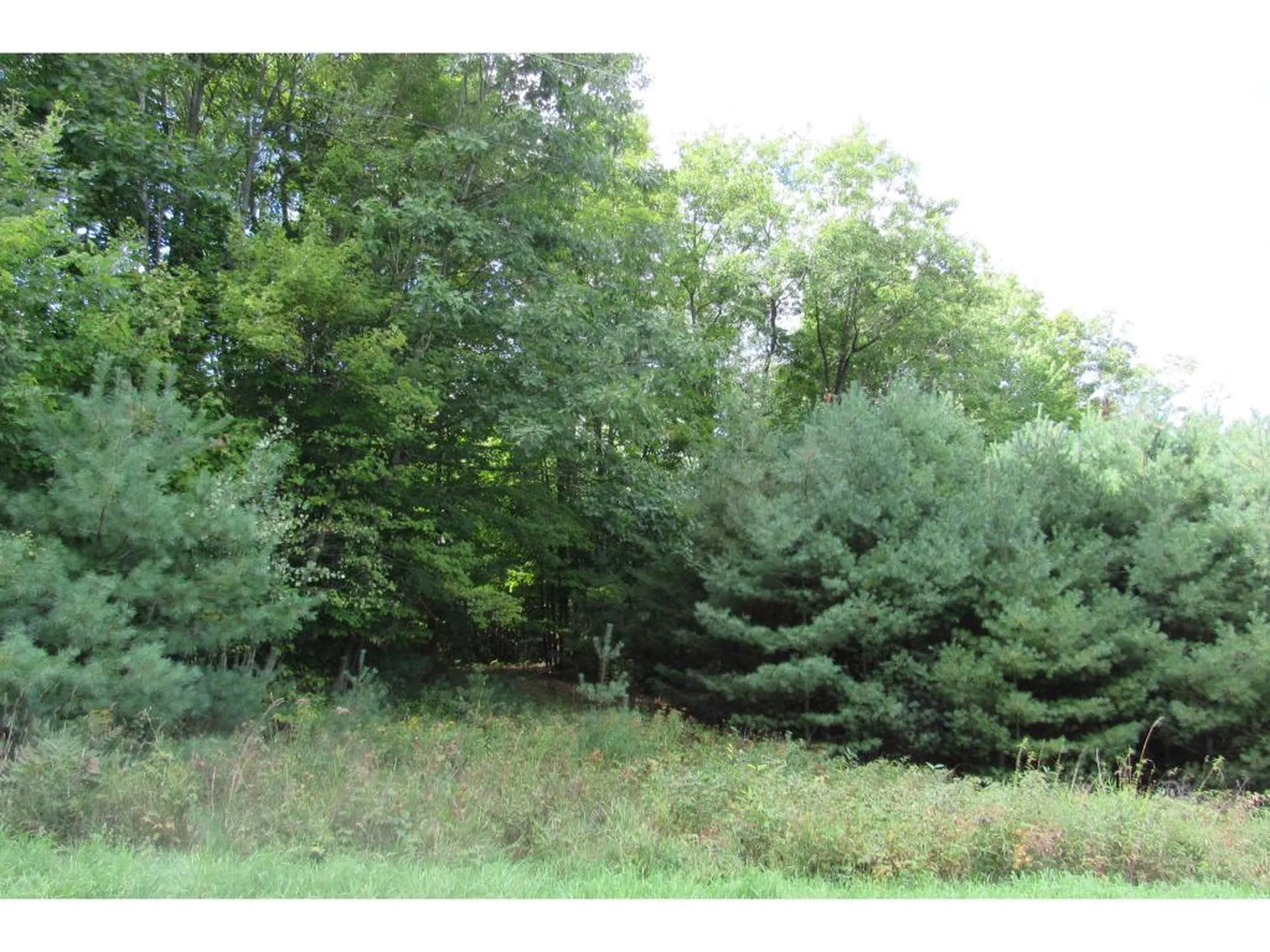 00 Lily Lane Haverhill NH 03774