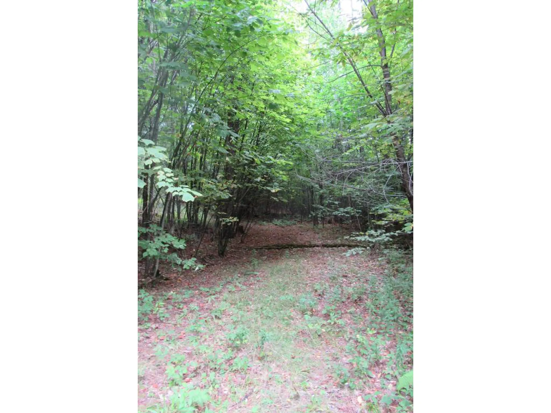 00 Lily Lane Haverhill NH 03774