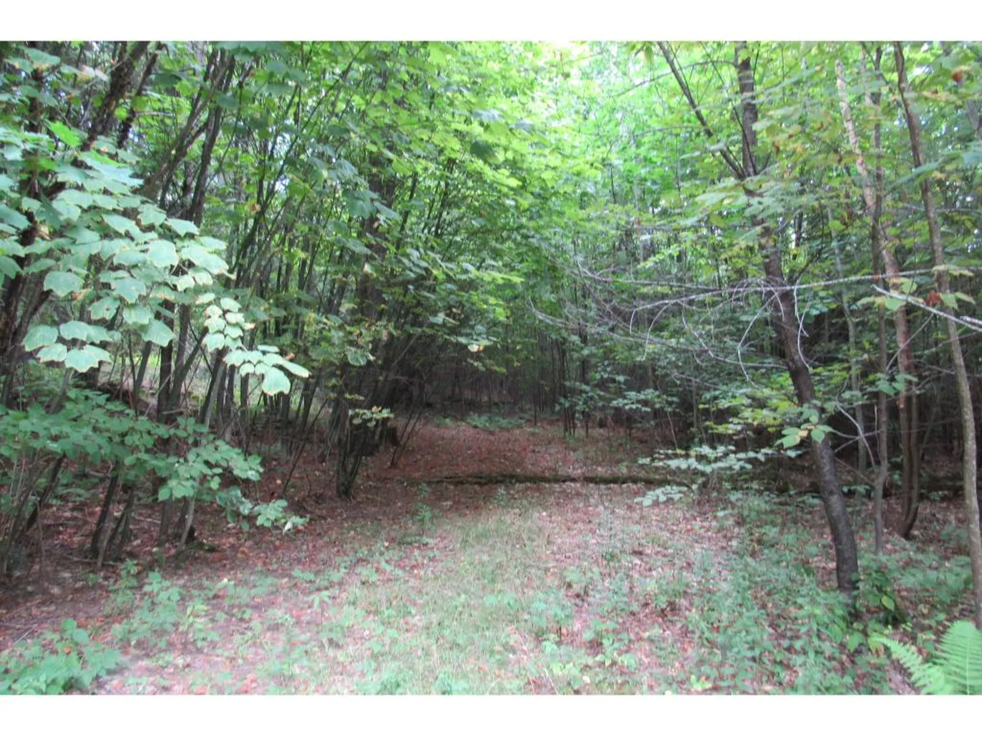 00 Lily Lane Haverhill NH 03774