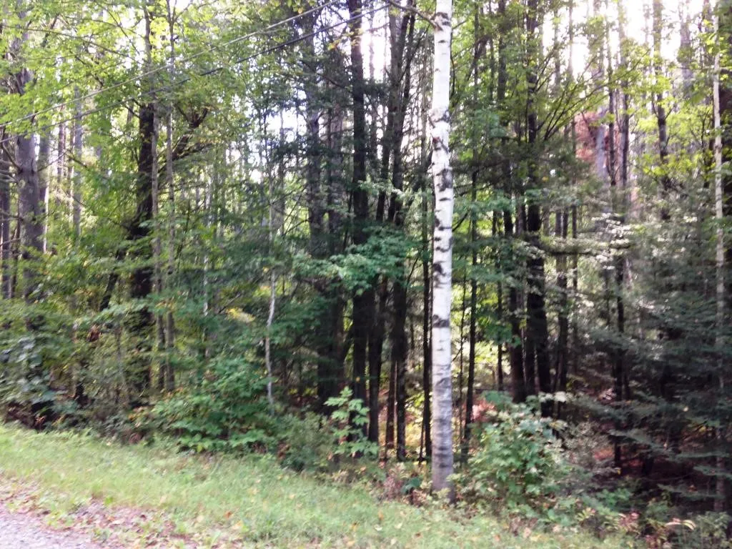 0 Swiftwater Circle Haverhill NH 03765