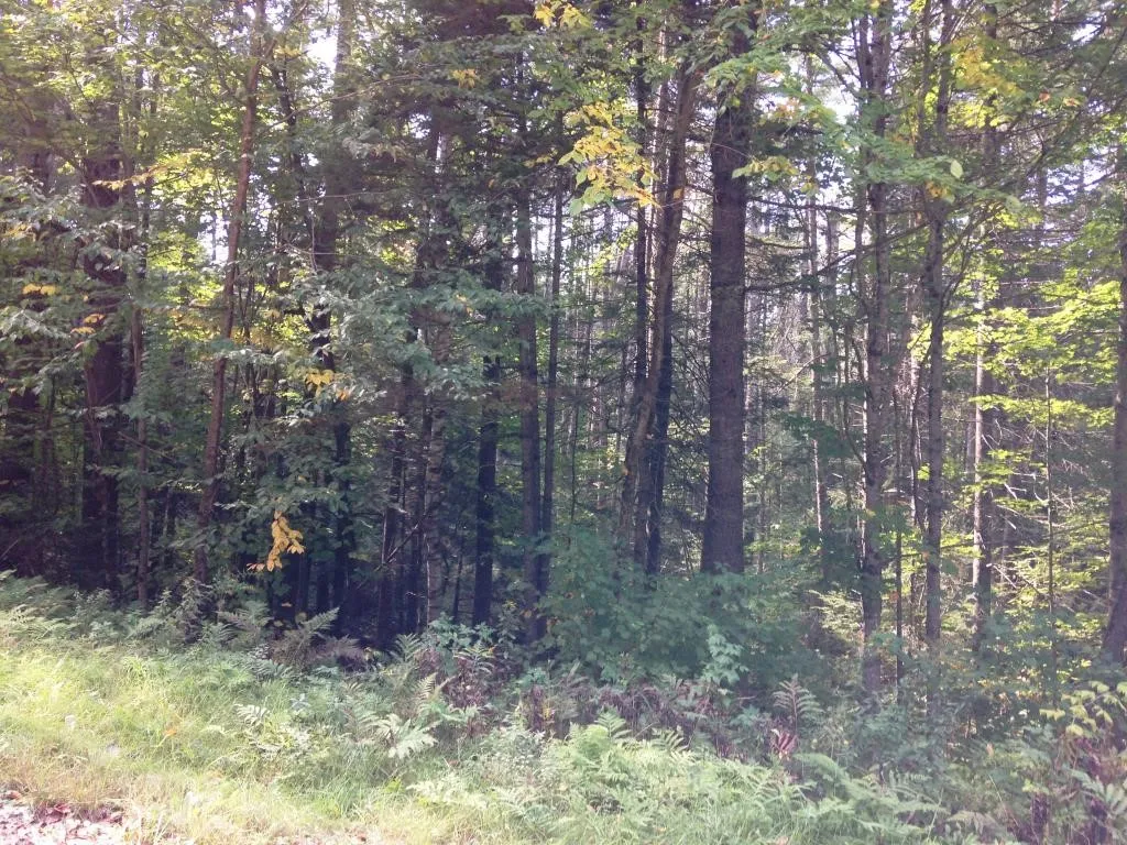 0 Swiftwater Circle Haverhill NH 03765